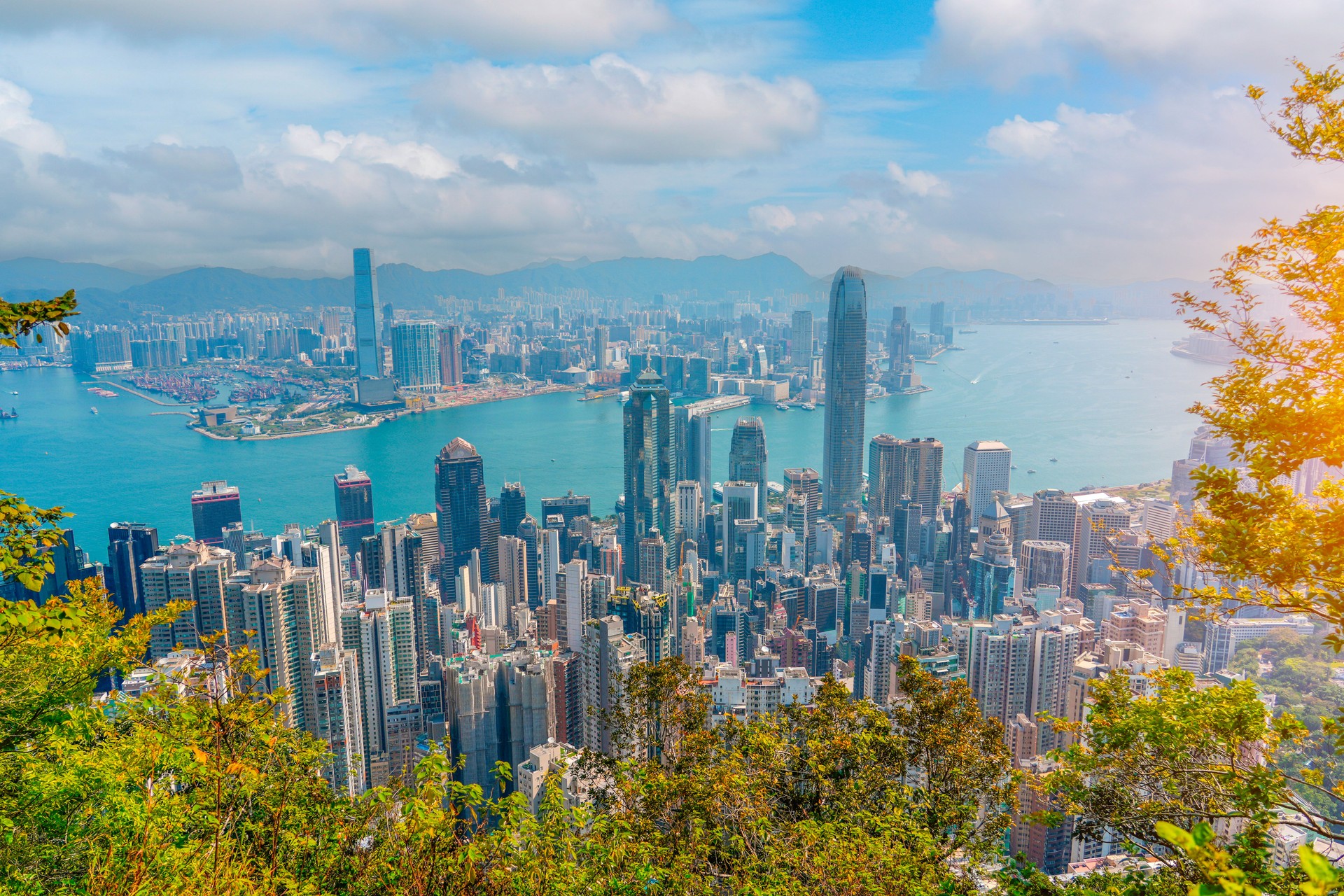 Aerial panorama top view of forest peak slope and view of high-rise skyscrapers of Hong Kong city